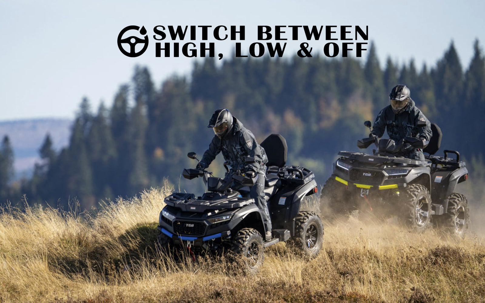 capability banner